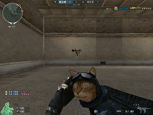 CSGO Major数据统计：87%的玩家相信FaZe能晋级